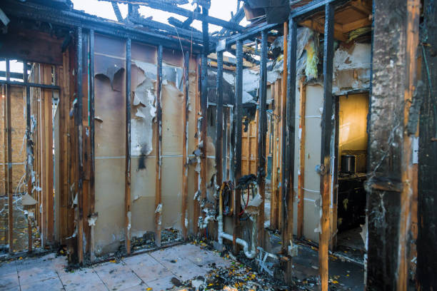 Professional Fire Damage Removal technician working in Santa Clara, UT